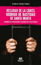 Reclusas de la c rcel Rodrigo de Bastidas de Santa Marta Etnograf a de resocializaci n y realidades de pol ticas p blicas【電子書籍】 Andrea Llin s Vahos