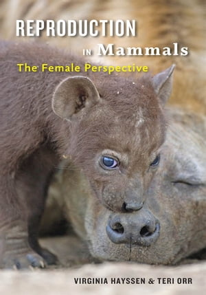 Reproduction in Mammals