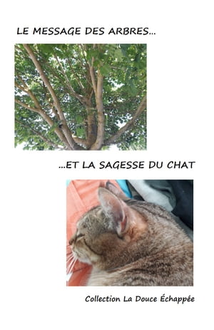 Les messages de l’arbre et la sagesse du chat