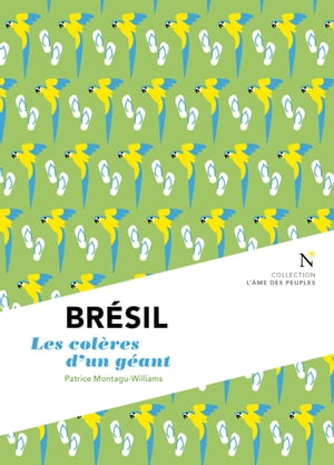 Brésil : Les colères d'un géant