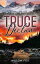 Truce: Declan eagle tactical, #5Żҽҡ[ Willow Fox ]