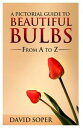 ŷKoboŻҽҥȥ㤨A Pictorial Guide to Beautiful BulbsŻҽҡ[ David Soper ]פβǤʤ480ߤˤʤޤ