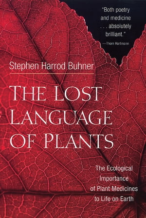 The Lost Language of Plants The Ecological Importance of Plant Medicine to Life on Earth