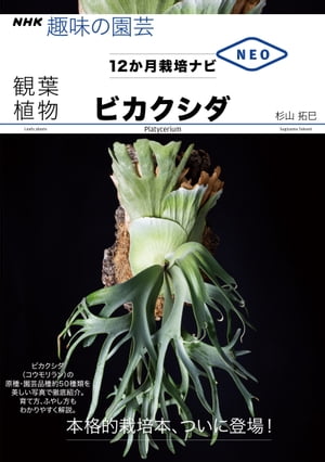 観葉植物　ビカクシダ【電子書籍】[ 杉山拓巳 ]