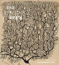 The Beautiful Brain The Drawings of Santiago Ramon y Cajal【電子書籍】[ Larry W. Swanson ]