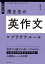 大学入試　関正生の英作文　プラチナルール