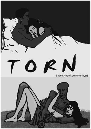 Torn【電子書籍】[ Sade Richardson (Amethys