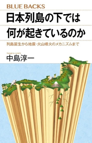 日本列島の下では何が起きているのか　列島誕生から地震・火山噴火のメカニズムまで【電子書籍】[ 中島淳一 ]