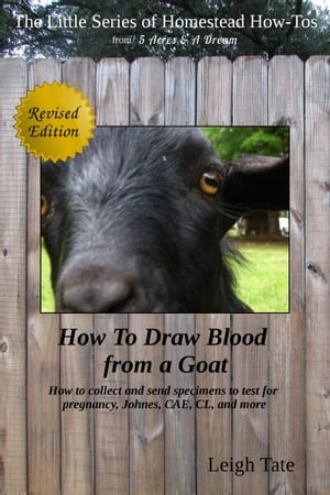 How To Draw Blood From a Goat: How To Collect and Send Specimens to Test for Pregnancy, Johnes, CAE, CL, and More