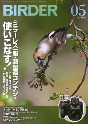 BIRDER2016年5月号