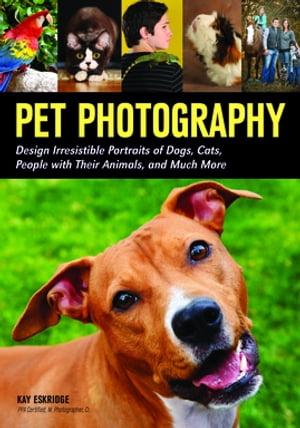 Pet Photography