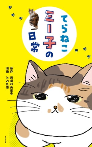 てらねこミー子の日常