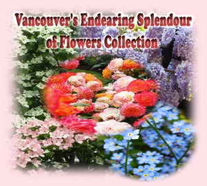 Vancouver's Endearing Splendour of Flowers Collection