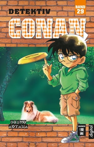 Detektiv Conan 29