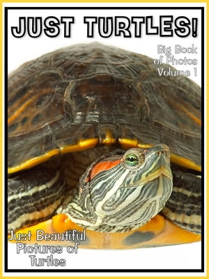 Just Turtle Photos! Big Book of Photographs & Pictures of Turtles, Vol. 1