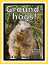 Just Groundhog Photos! Big Book of Photographs & Pictures of Groundhogs, Vol. 1