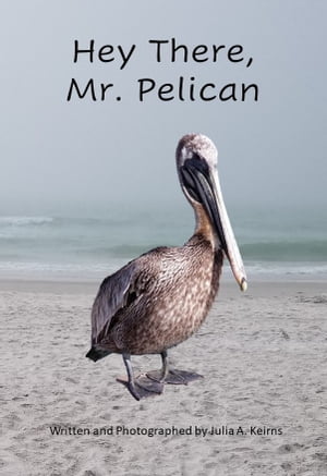 Hey There, Mr. Pelican