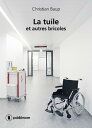 La tuile... et autres bricoles Roman autobiographique