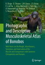 Photographic and Descriptive Musculoskeletal Atlas of Bonobos With Notes on the Weight, Attachments, Variations, and Innervation of the Muscles and Comparisons with Common Chimpanzees and Humans