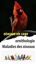 MALADIES DES OISEAUX ET TRAITEMENT