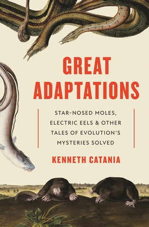ŷKoboŻҽҥȥ㤨Great Adaptations Star-Nosed Moles, Electric Eels, and Other Tales of Evolutions Mysteries SolvedŻҽҡ[ Kenneth Catania ]פβǤʤ2,208ߤˤʤޤ