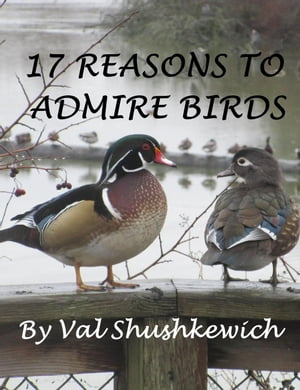 17 Reasons to Admire Birds【電子書籍】[ Val Shushkewich ]