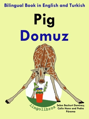 Bilingual Book in English and Turkish: Pig - Domuz - Learn Turkish Series