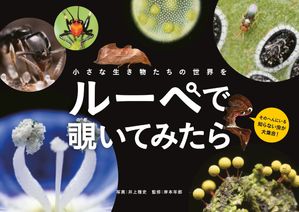 小さな生き物たちの世界を　ルーペで覗いてみたら【電子書籍】[ 岸本年郎 ]