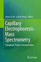 Capillary Electrophoresis-Mass