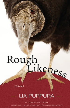 Rough Likeness Essays