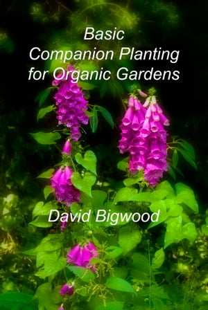 Basic Companion Planting for Organic Gardens【電子書籍】[ David Bigwood ]