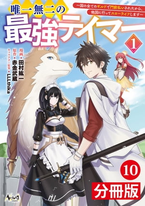 唯一無二の最強テイマー〜国の全てのギルドで門前払いされたから、他国に行ってスローライフします〜【分冊版】１０(ノヴァコミックス)