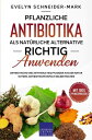 Pflanzliche Antibiotika als nat?rliche Alternative richtig anwenden Antibiotische und antivirale Heilpflanzen aus der Natur nutzen, Antibiotikum einfach selber machen
