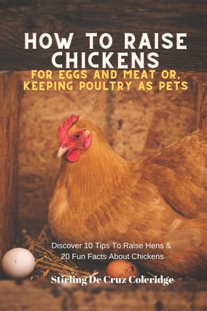 How To Raise Backyard Chickens For Eggs And Meat Or, Keeping Poultry As Pets Discover 10 Quick Tips On Raising Hens And 20 Fun Facts About Chickens Raising Chickens