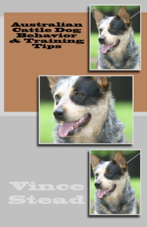 Australian Cattle Dog Behavior & Training Tips【電子書籍】[ Vince Stead ]