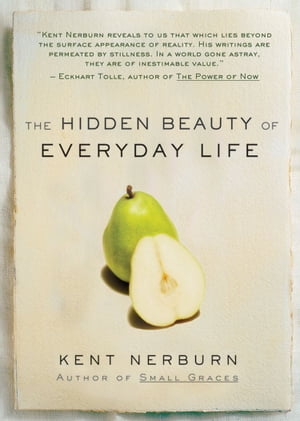 The Hidden Beauty of Everyday Life【電子書籍】 Kent Nerburn