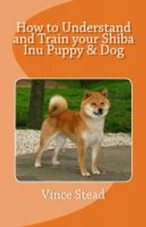 How to Understand and Train your Shiba Inu Puppy & Dog