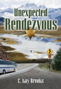 Unexpected Rendezvous【電子書籍】[ CK Brooks ]