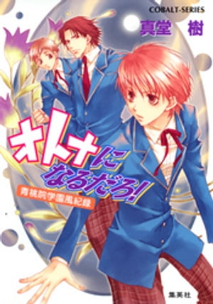 青桃院学園風紀録13　オトナになるだろ！【電子版限定・書き下ろしつき】