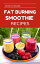 Fat Burning Smoothie Recipes Fat Burning Smoothies for Weight LossŻҽҡ[ Dr. Ruth Daniel ]