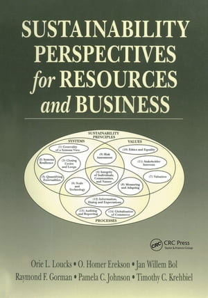 Sustainability Perspectives for Resources and Business