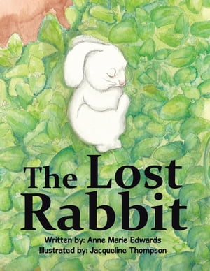 The Lost Rabbit