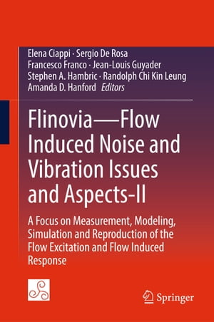 FlinoviaーFlow Induced Noise and Vibration Issues and Aspects-II