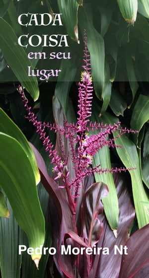 ŷKoboŻҽҥȥ㤨Cada Coisa: em seu lugarŻҽҡ[ Pedro Moreira Nt ]פβǤʤ148ߤˤʤޤ