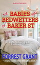 The Babies and Bedwetters of Baker St an ABDL/Sissy Baby/Bedwetters novel【電子書籍】 Forrest Grant