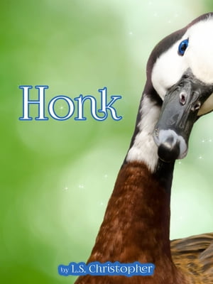 Honk