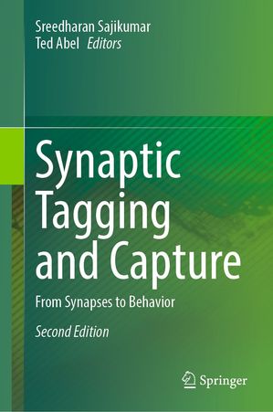 Synaptic Tagging and Capture From Synapses to Behavior