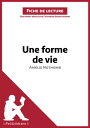 Une forme de vie d'Am?lie Nothomb (Fiche de lecture) Analyse compl?te et r?sum? d?taill? de l'oeuvre