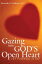 Gazing into God's Open Heart 101 Pathways to JoyŻҽҡ[ Kenneth E. Grabner ]