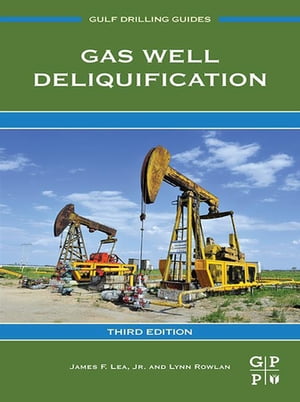 Gas Well Deliquification